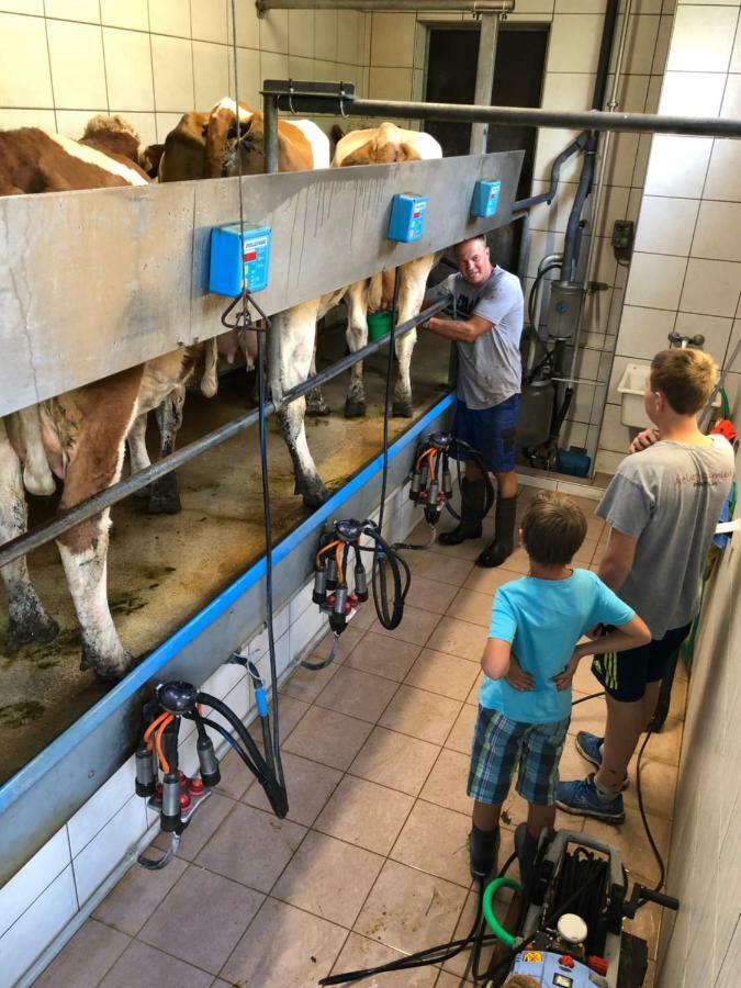 Bio Bauernhof Oberbenk Lejlighed Wagrain Eksteriør billede