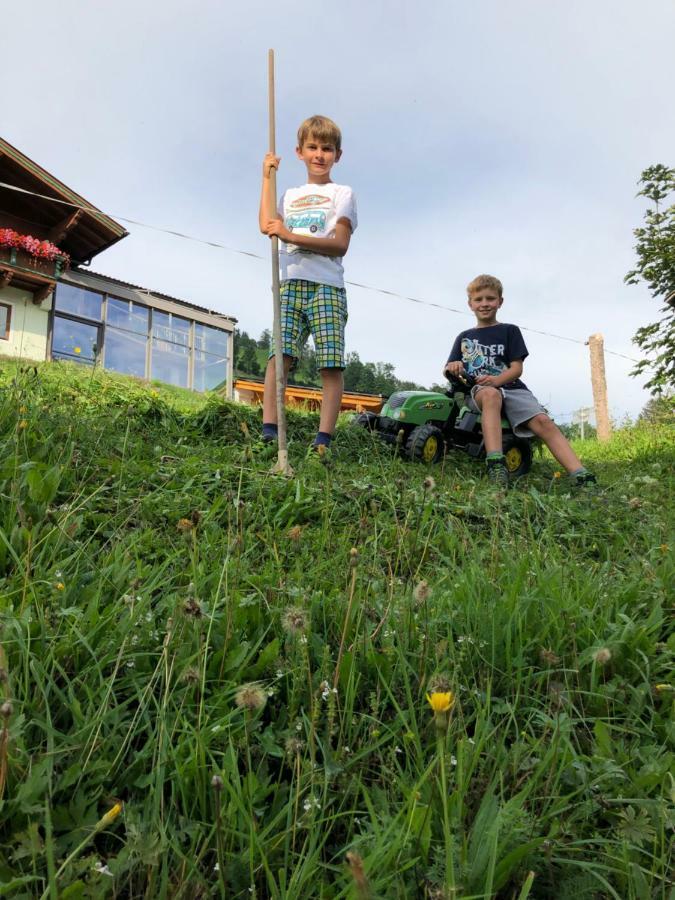Bio Bauernhof Oberbenk Lejlighed Wagrain Eksteriør billede
